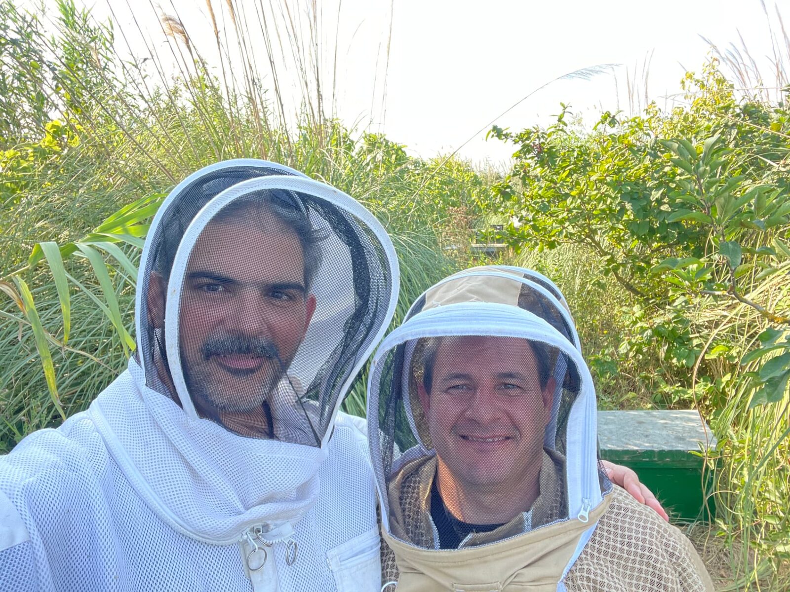 Pedro y Mesrop